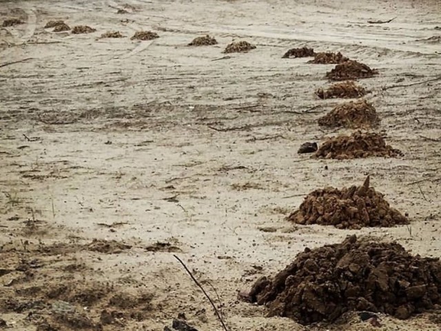 Stratégiai fejlesztés és tanácsadás